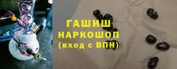 прущие грибы Аркадак