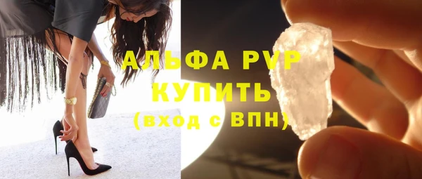 прущие грибы Аркадак