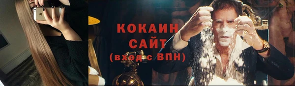 прущие грибы Аркадак