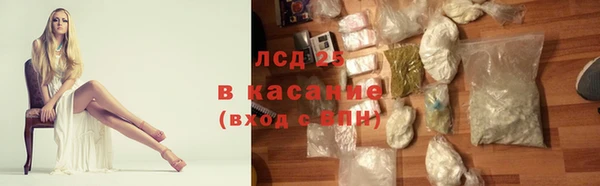 прущие грибы Аркадак
