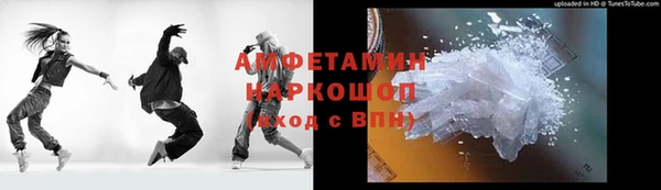 прущие грибы Аркадак