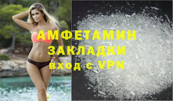 гидра Арсеньев