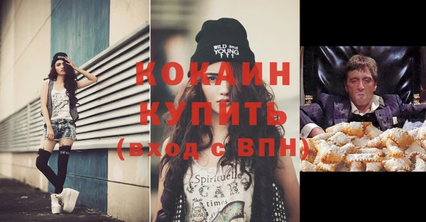 прущие грибы Аркадак