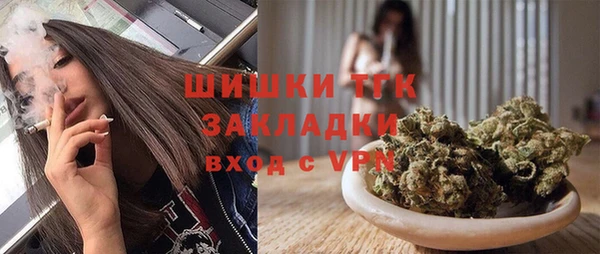 гидра Арсеньев