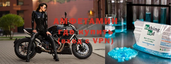 гидра Арсеньев