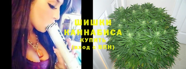 гидра Арсеньев