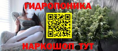 крисы Коммунар
