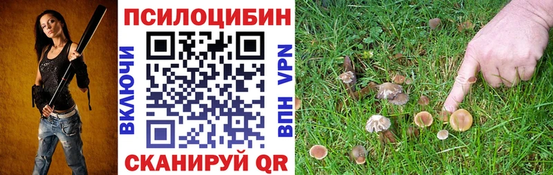 Галлюциногенные грибы мицелий  кракен зеркало  Кыштым 
