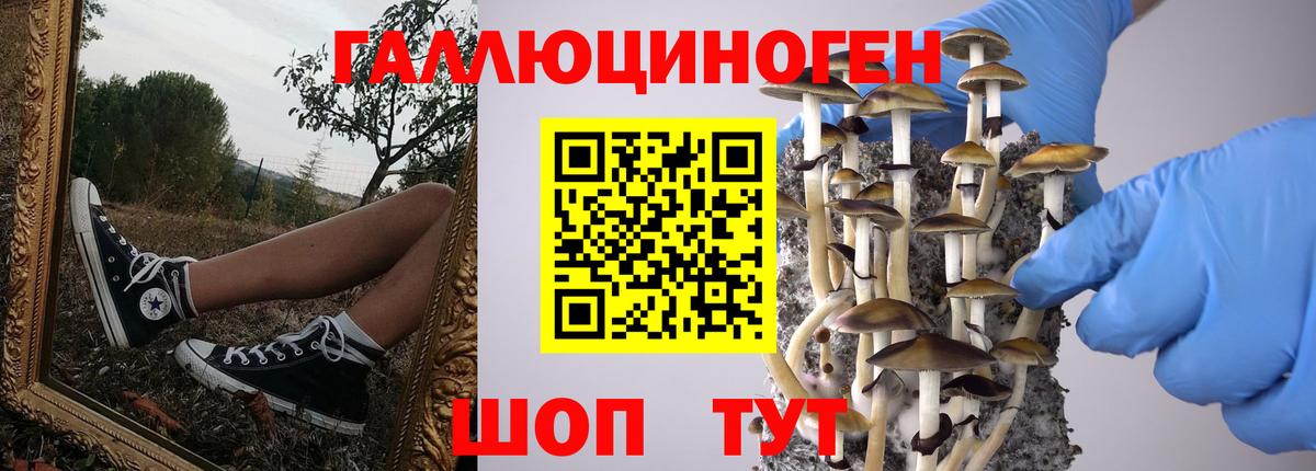Псилоцибиновые грибы MAGIC MUSHROOMS  Вход с VPN  Кыштым 